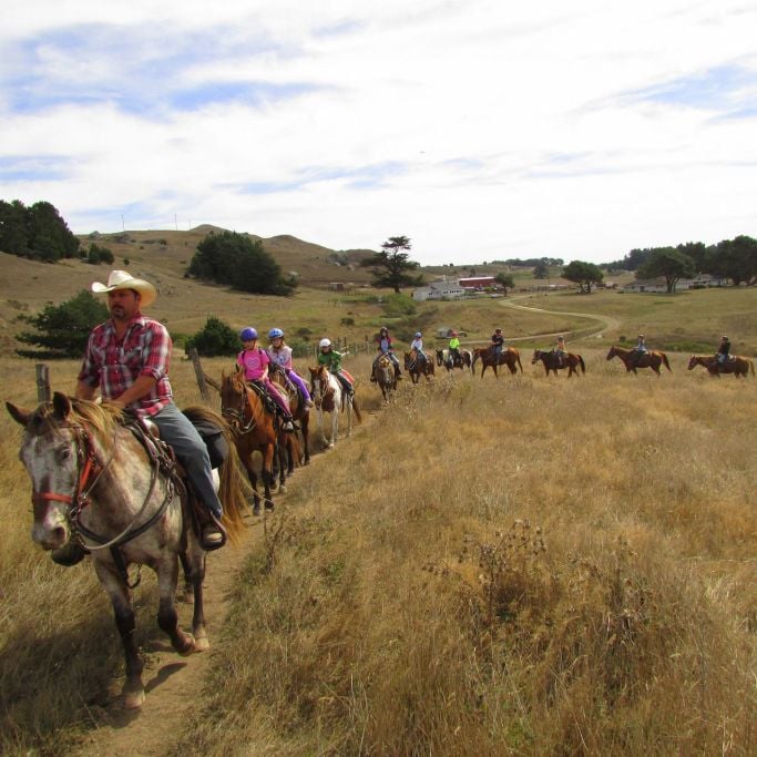 6 Fun Things to Do in Bodega Bay
