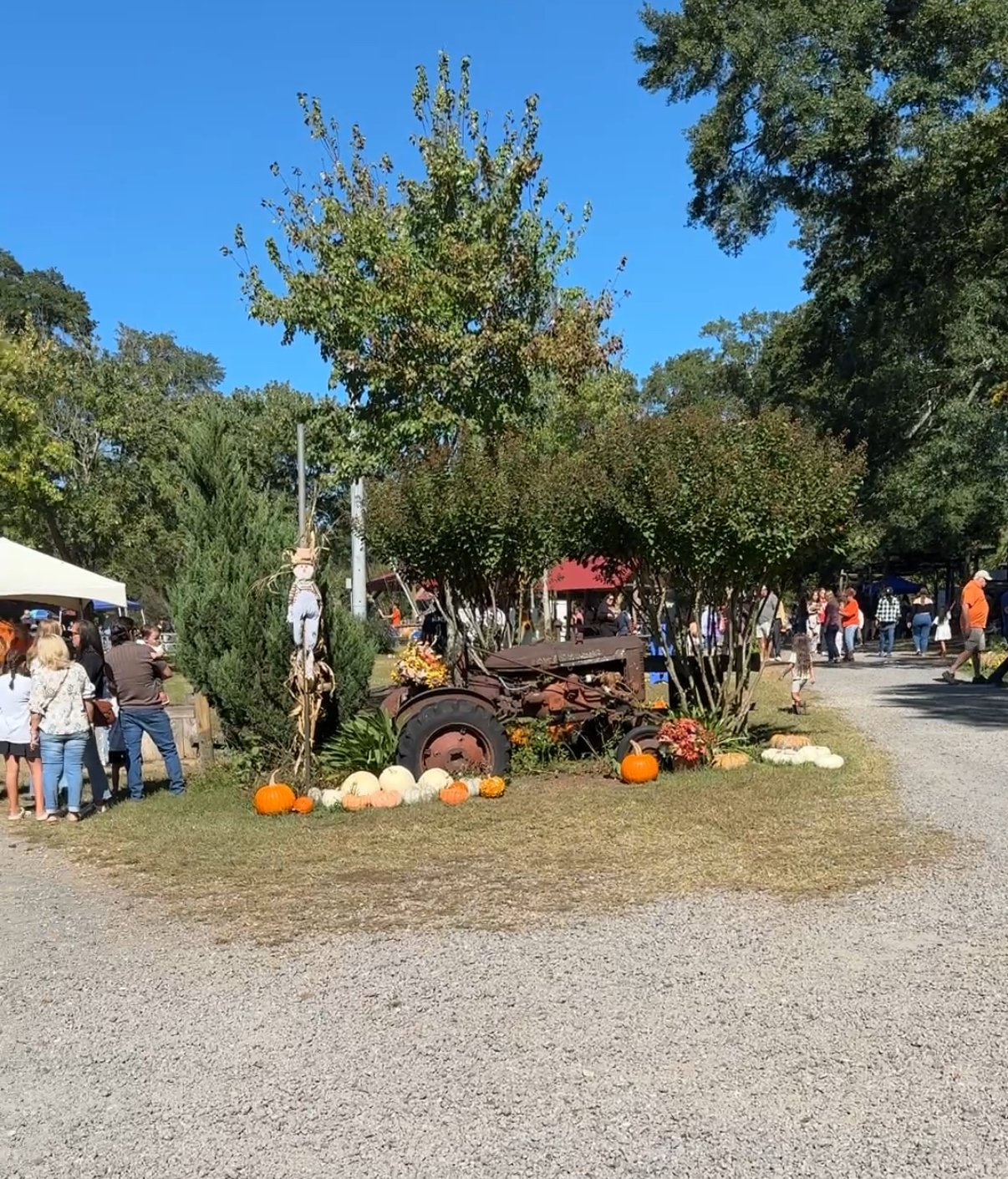 Visitors browse pumpkins and fall decorations around an old tractor at an outdoor festival.