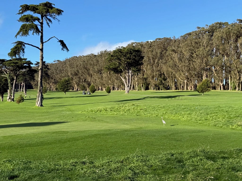 District 7 – North