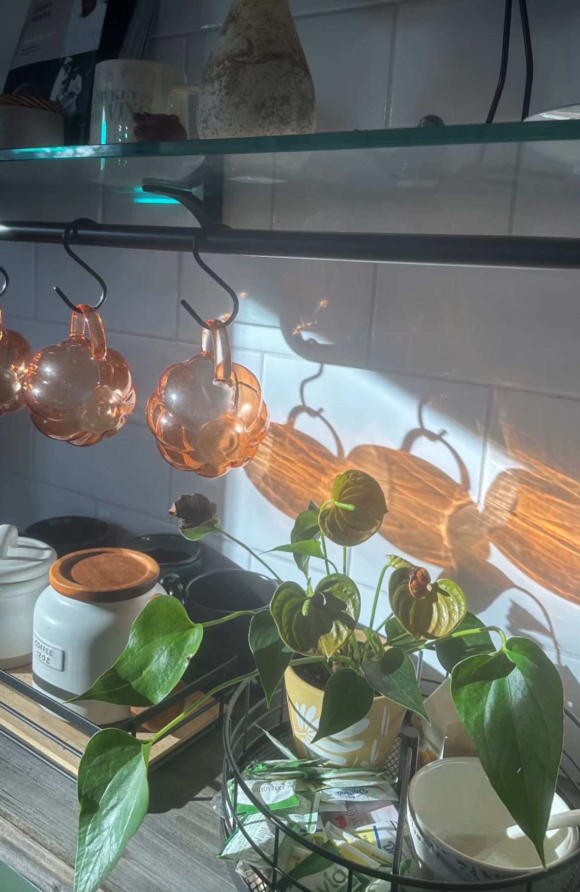 A Heartfelt Thanksgiving Message 