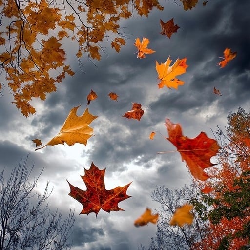 Fall 2025 Real Estate Market Review
