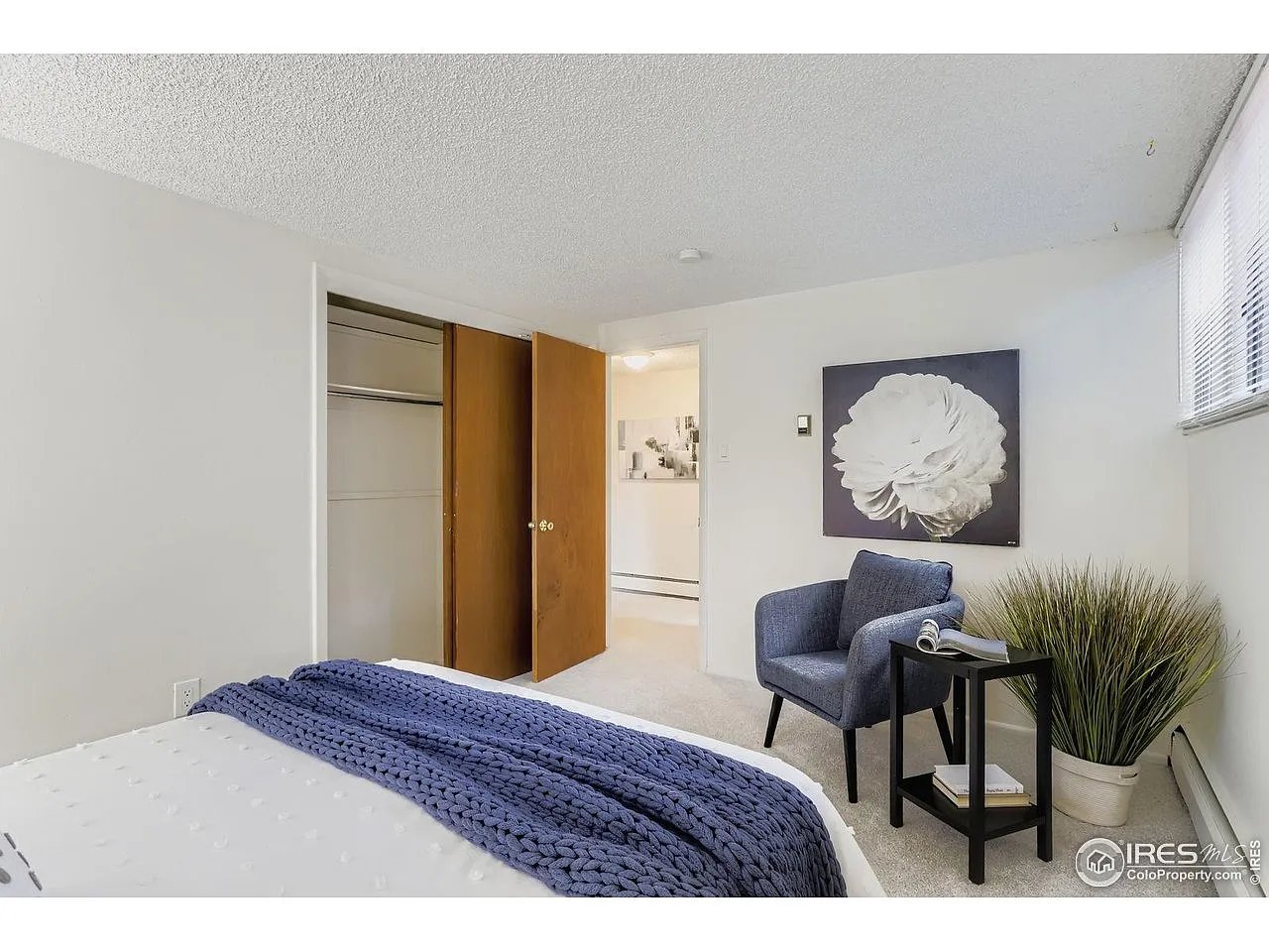 1842 Canyon Blvd #111