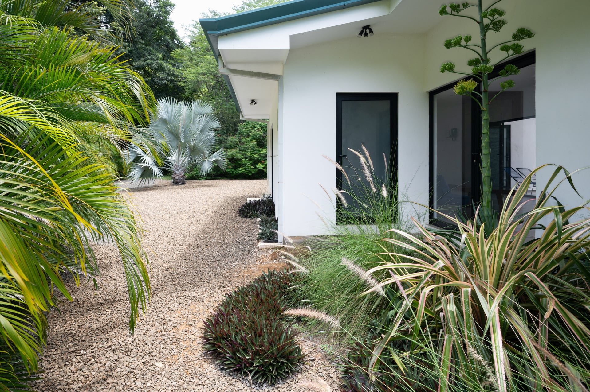 V-Domi Panama | Modern 3-Bedroom Villa with Pool on Expansive 6,078 m² Forest Lot in Finca Panamá, Tamarindo