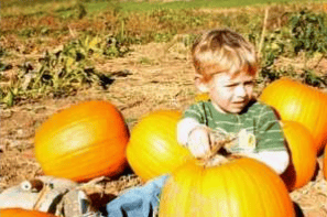 A young child sits among pumpkins in a fall patch.