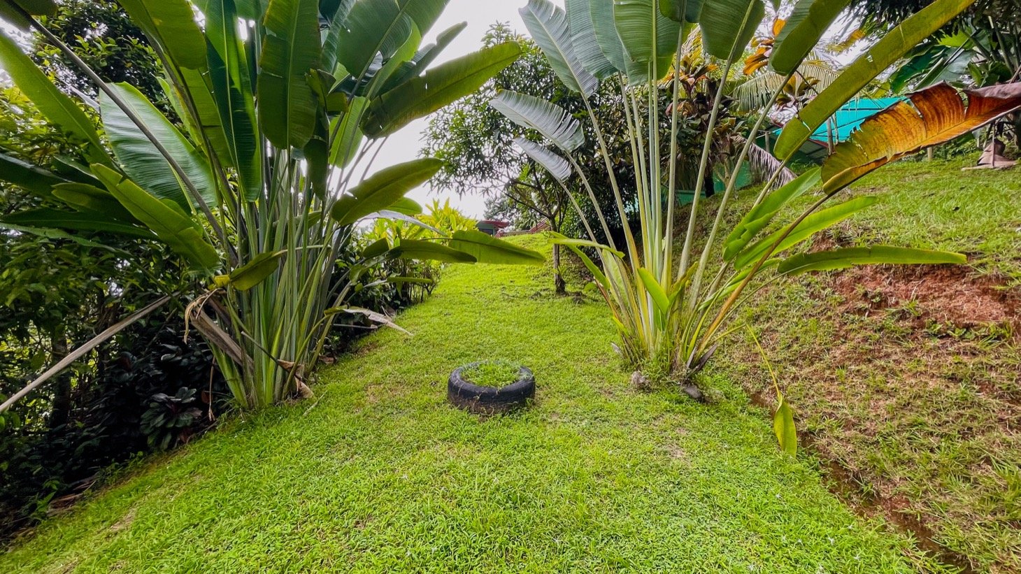 Two Homes on 1.55 Acres with Ocean & Mountain Views – Plus Room to Build!