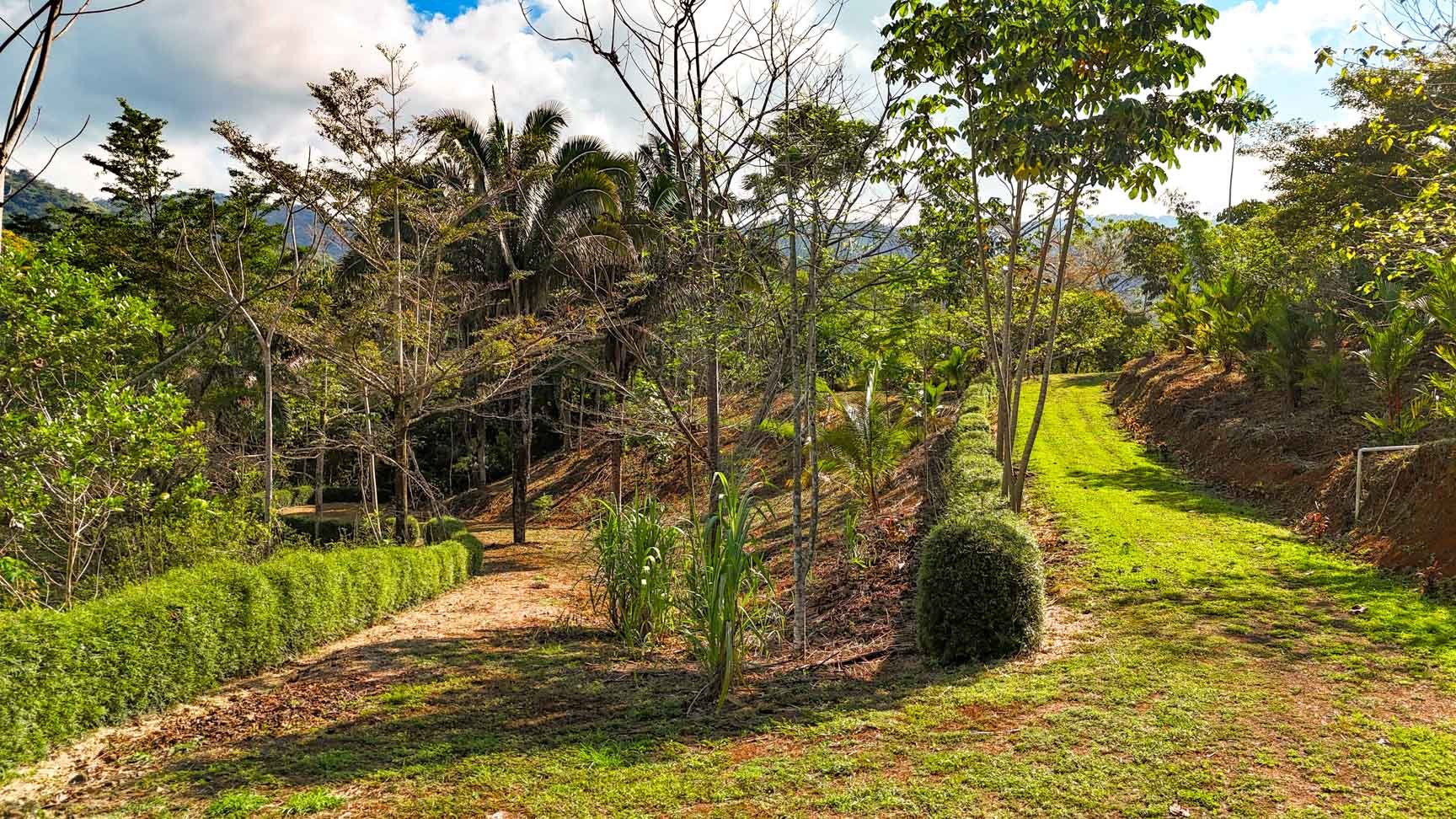 32-Acre Self-Sustainable Off-Grid Farm Near Ojochal with House, Solar Power & River