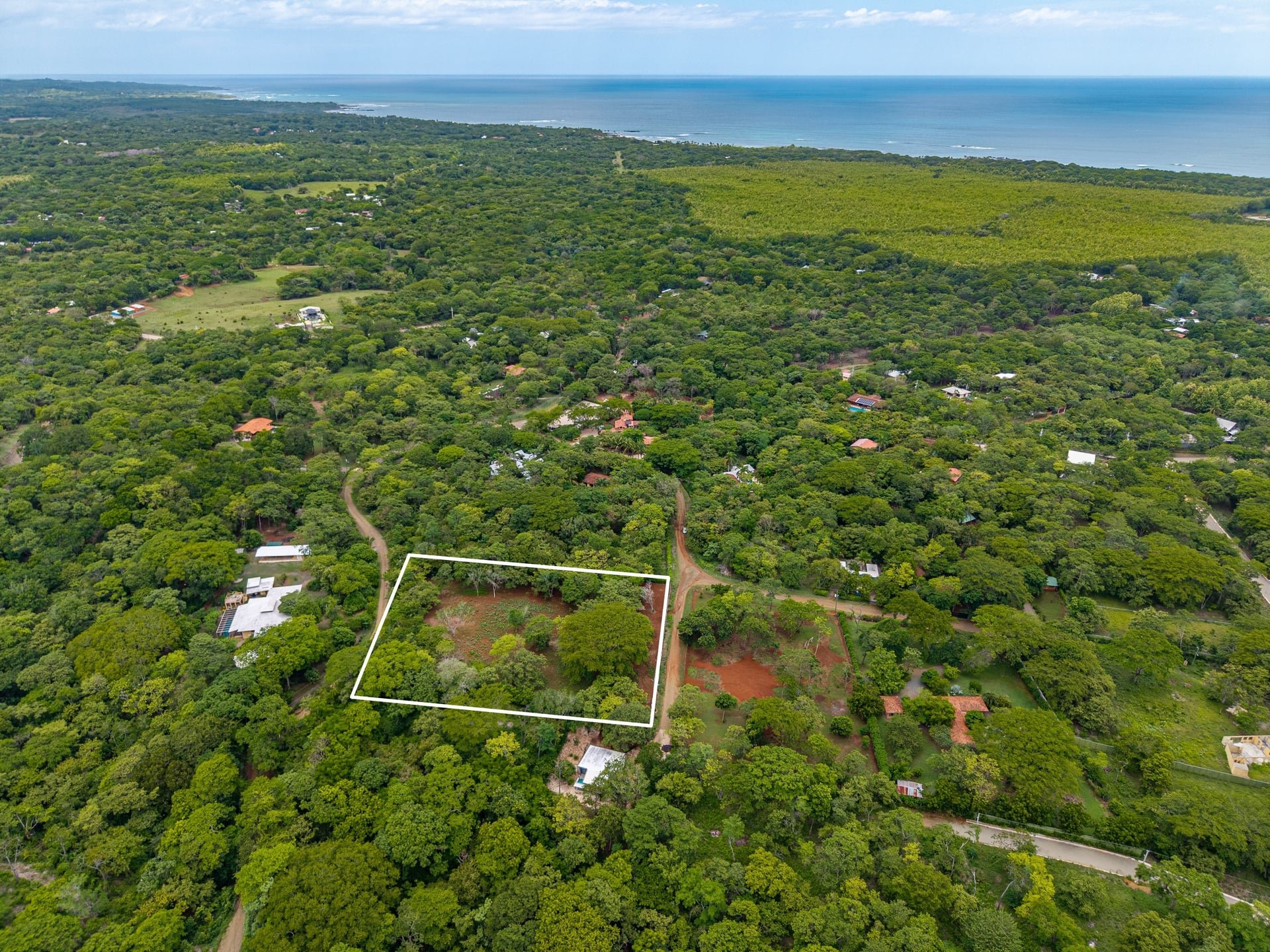 Hammock Plantación | Spacious Agricultural Land Near Playa Negra