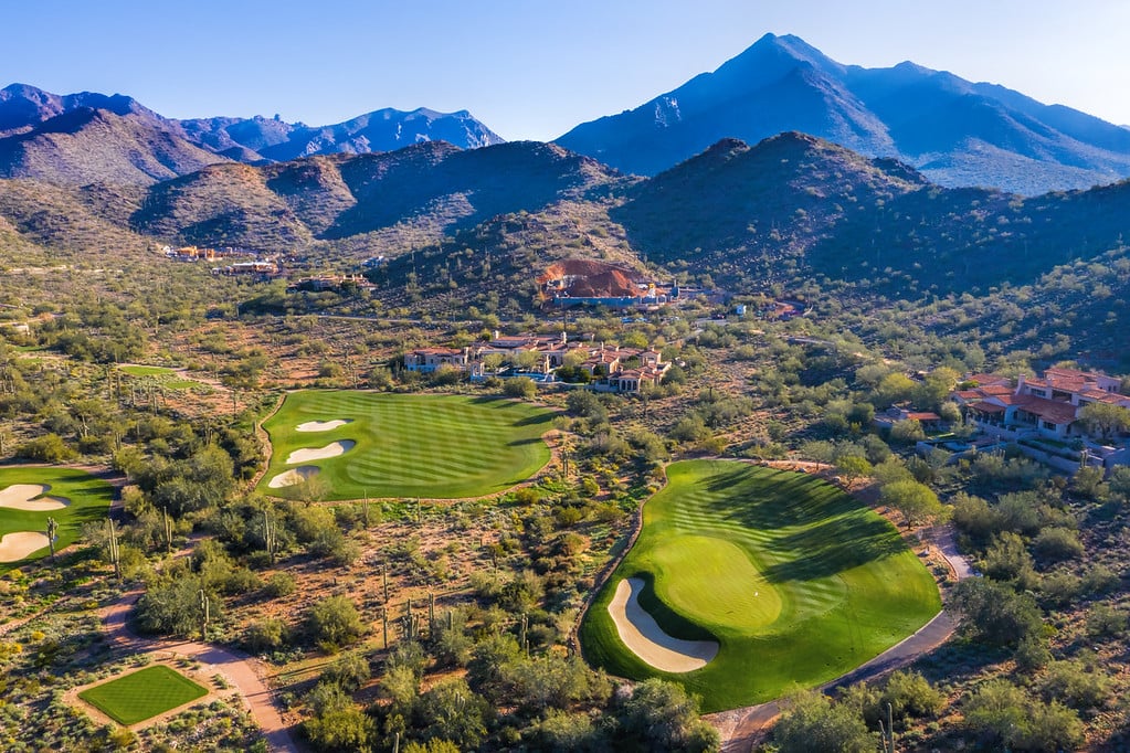 Silverleaf