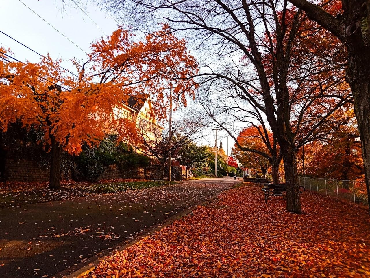 🏡 Why Seattle Homes Feel Different in the Fall