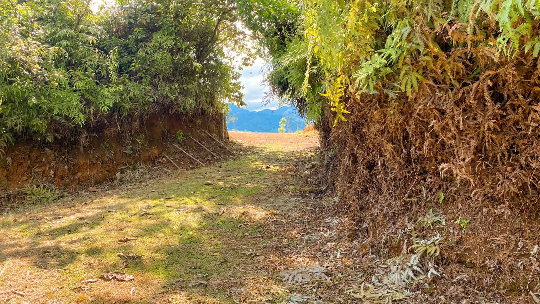32-Acre Self-Sustainable Off-Grid Farm Near Ojochal with House, Solar Power & River