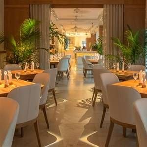 From Brickell to South Beach: Elcielo Miami's New Location is Turning Heads
