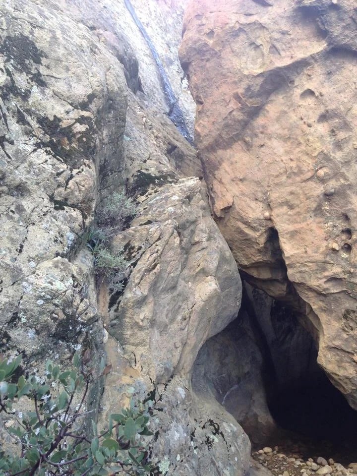 A dark cave opening between weathered rocks, with sparse plants growing nearby.