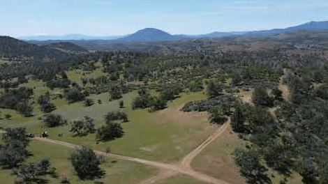 Yellow Dog Trail Hornbrook CA