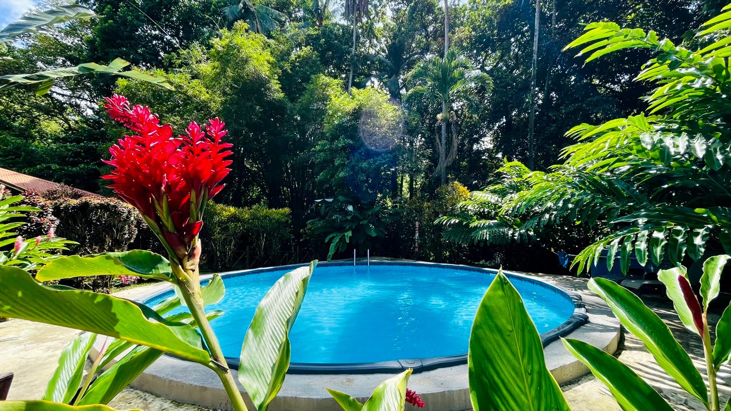 Tropical River Property with Cabinas, Pool & Event Space in Ojochal