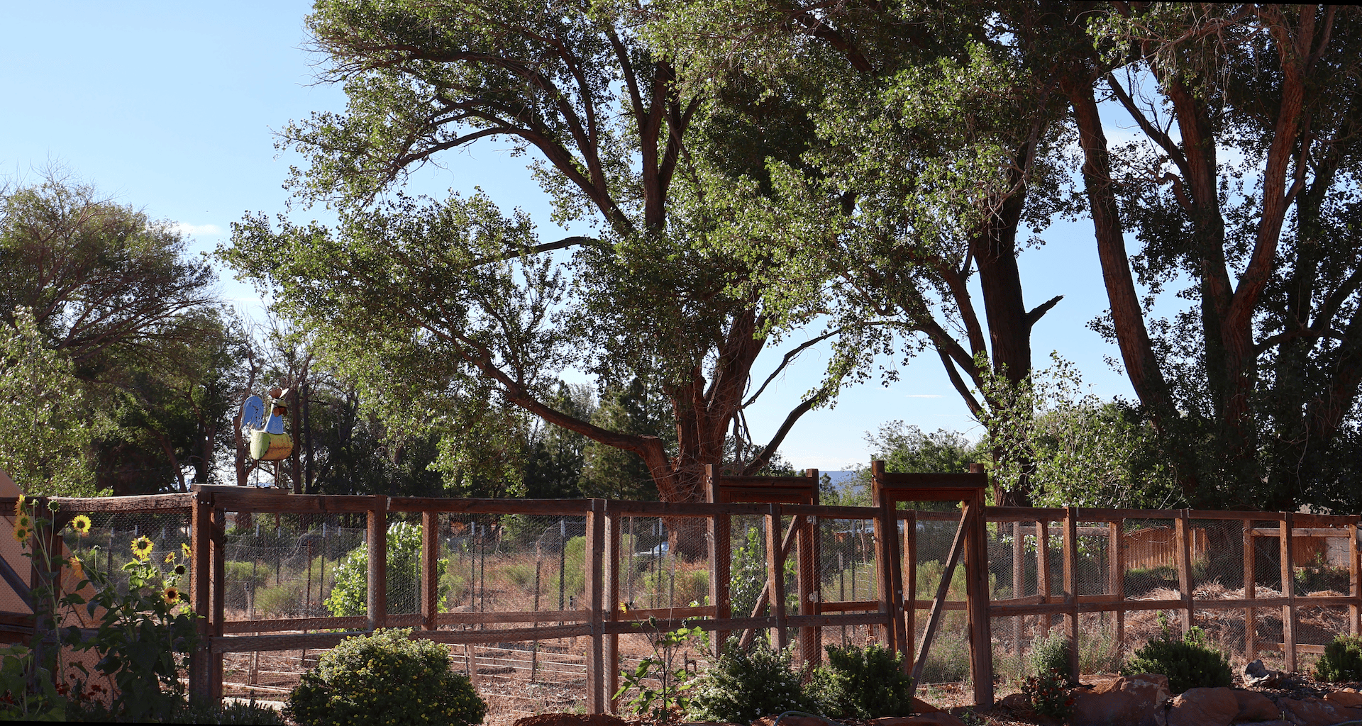 Torrey Land & Greenhouses