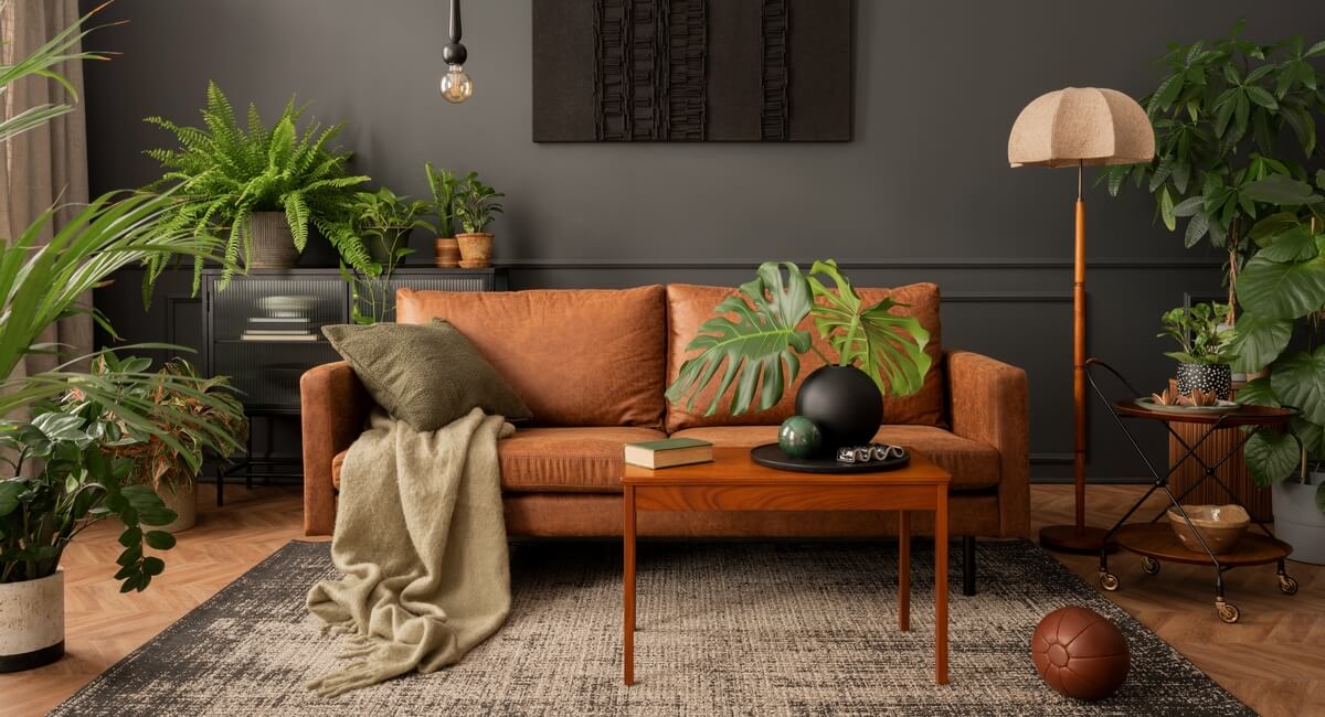 7 Plants That Need To Be Taken Inside