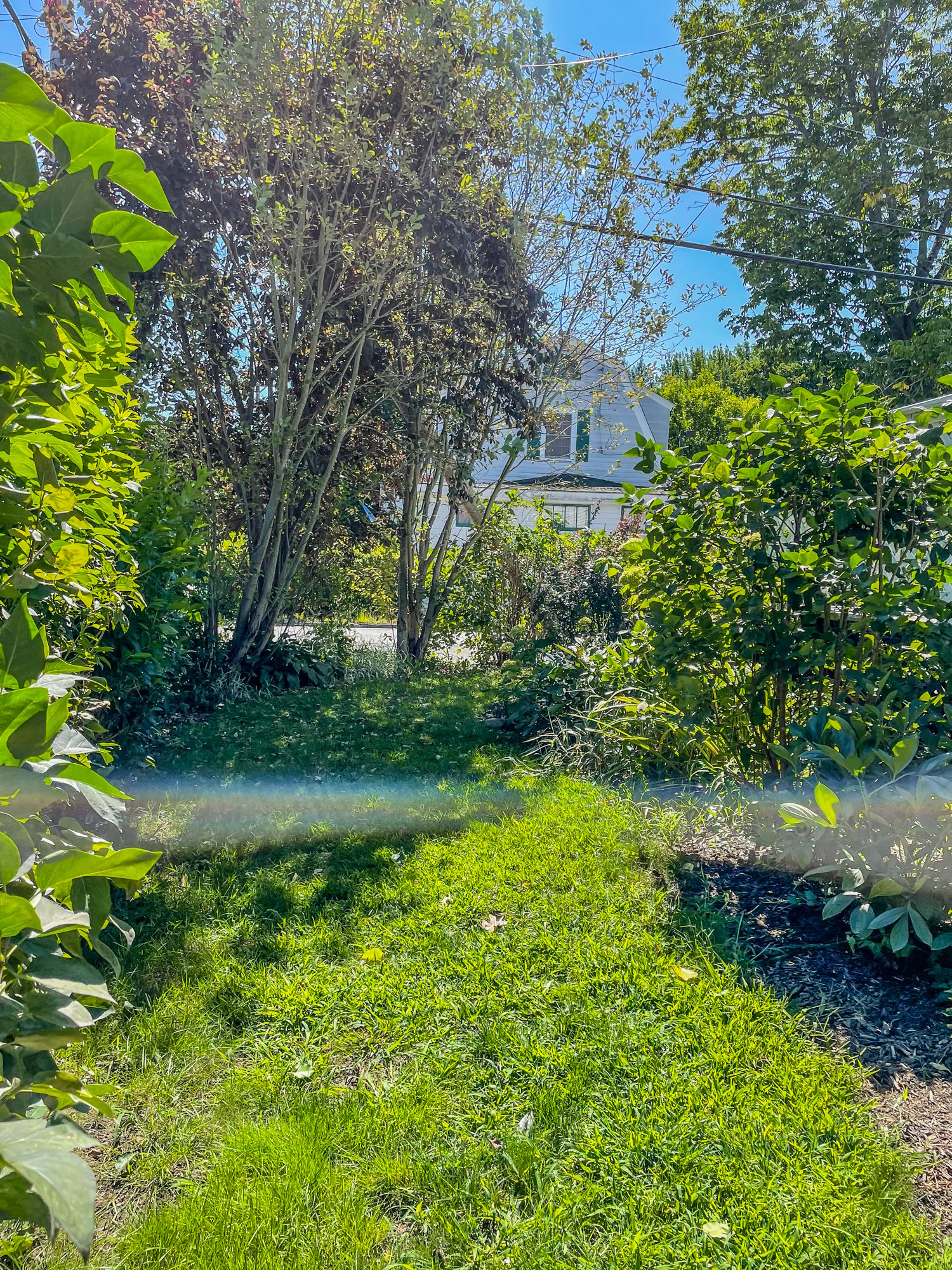 Rental Available September 1st