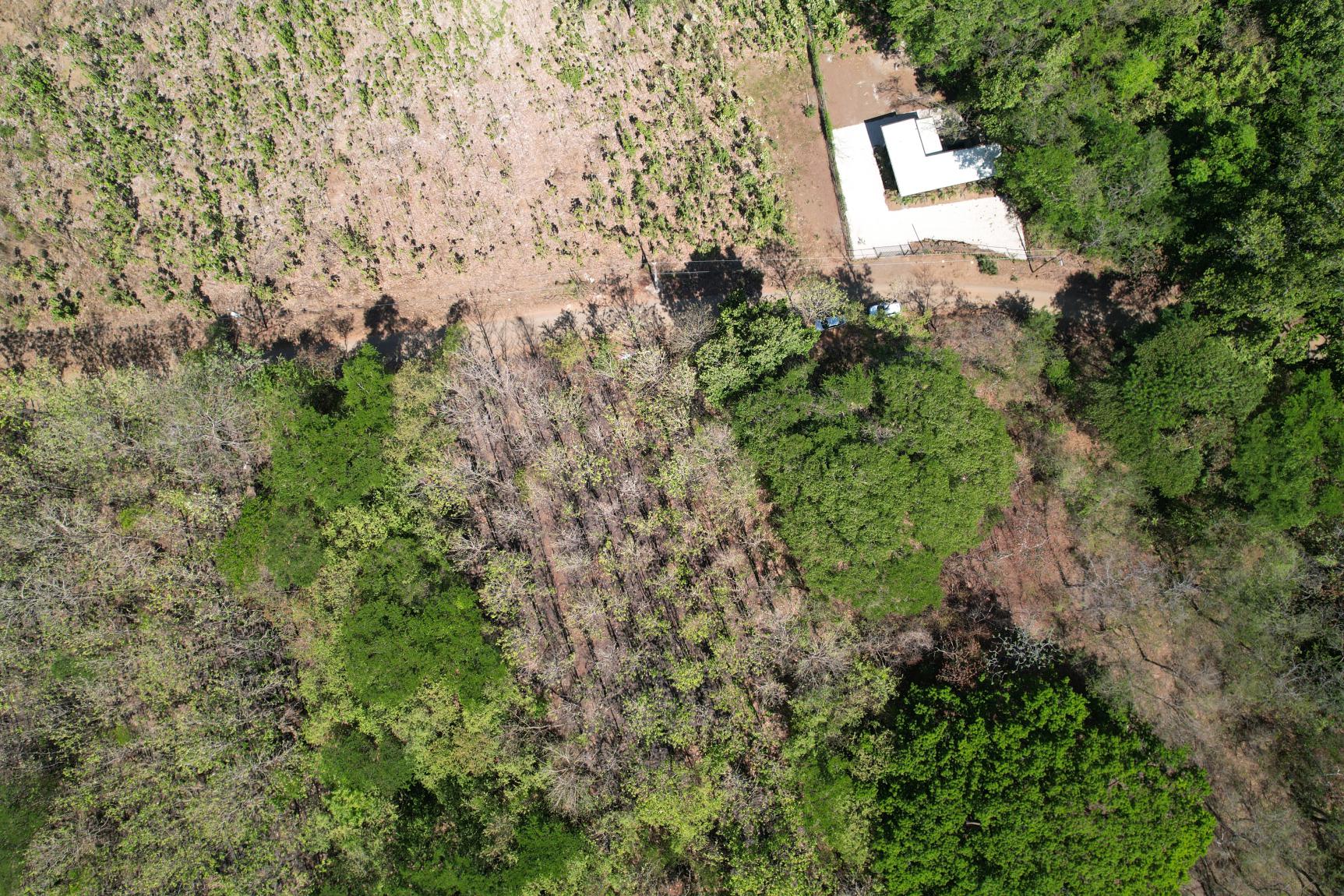 Flat Mixed-Use Land for Sale | Lot #8: Development Opportunity Near Avellanas