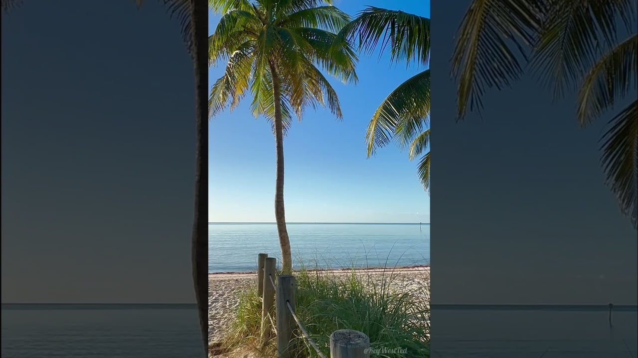 Island Time! It’s real! And now you know why…