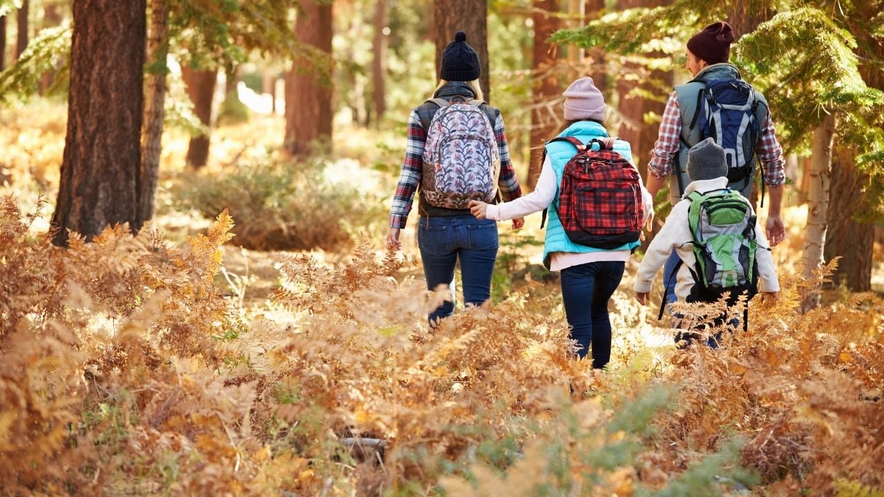 Big Views, Little Legs: Easy Hikes for Young Families