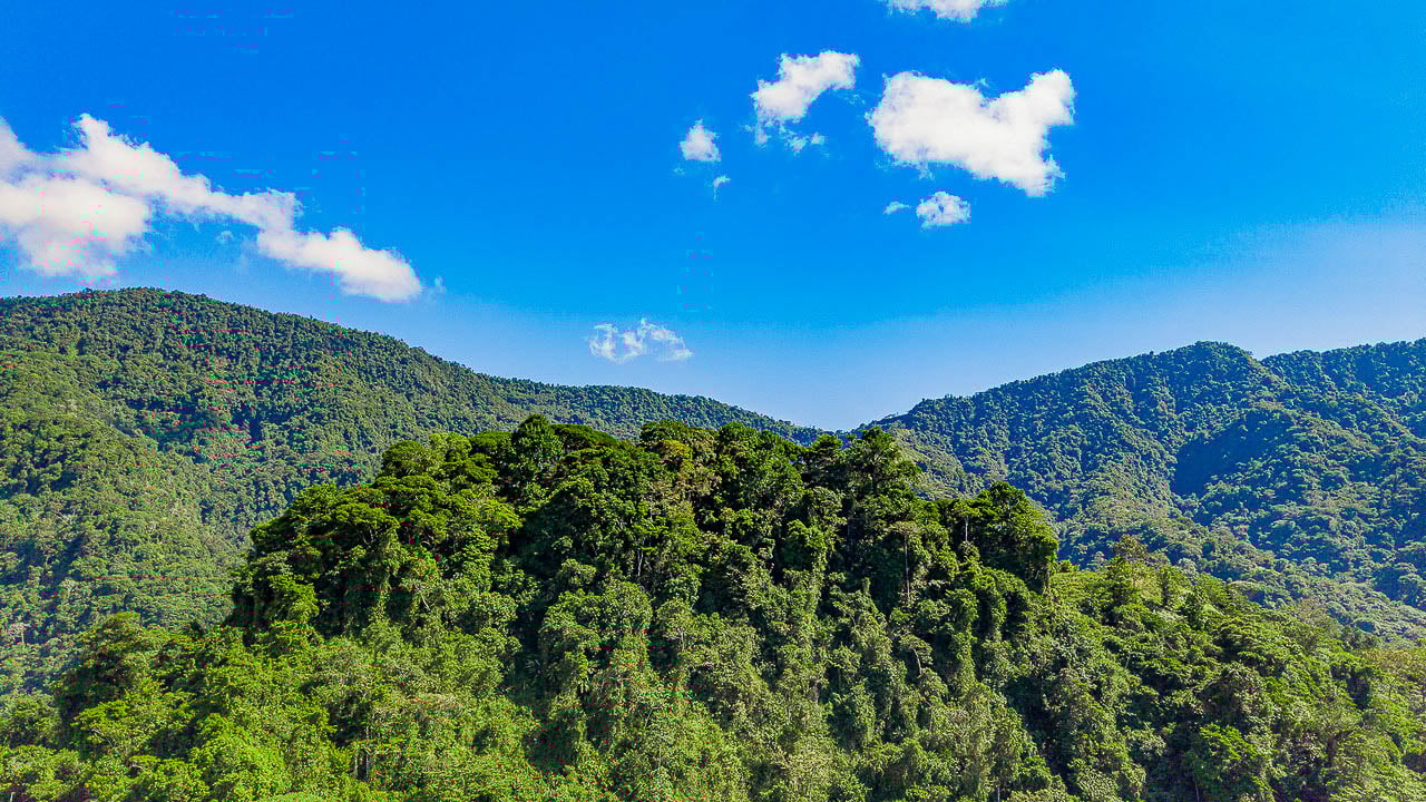 Whale Tail Views Luxury Waterfall Farm