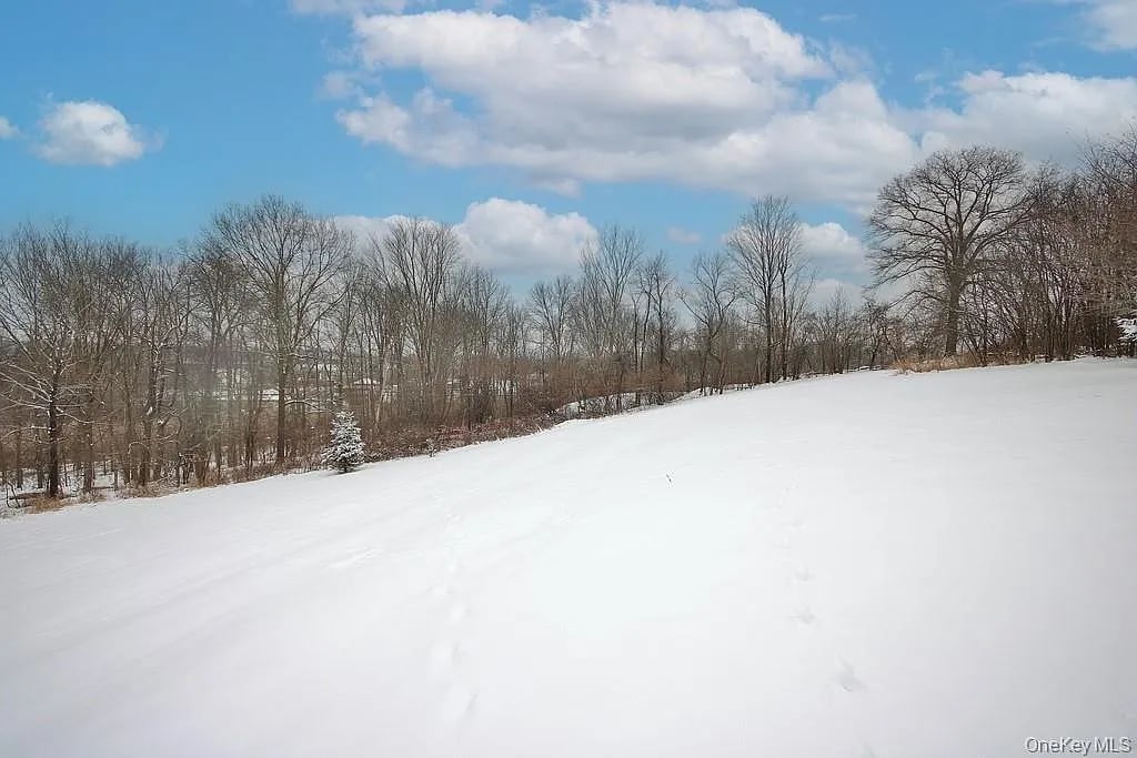 1065 Dolsontown Road