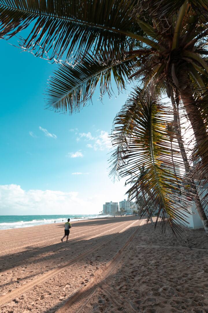 Beach House Apt 8 • King Studio w/ Kitchenette - Airbnb