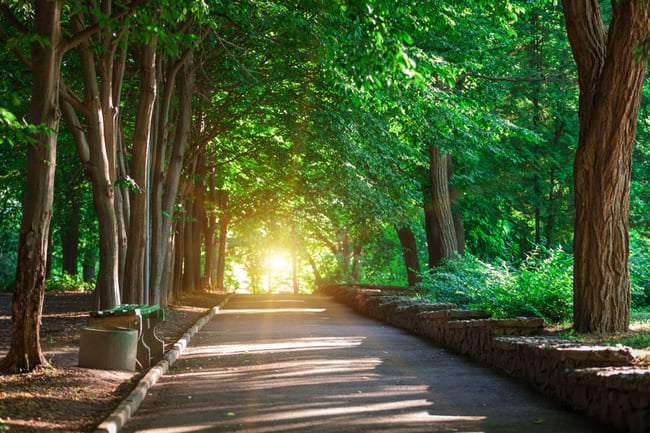 Brookline
