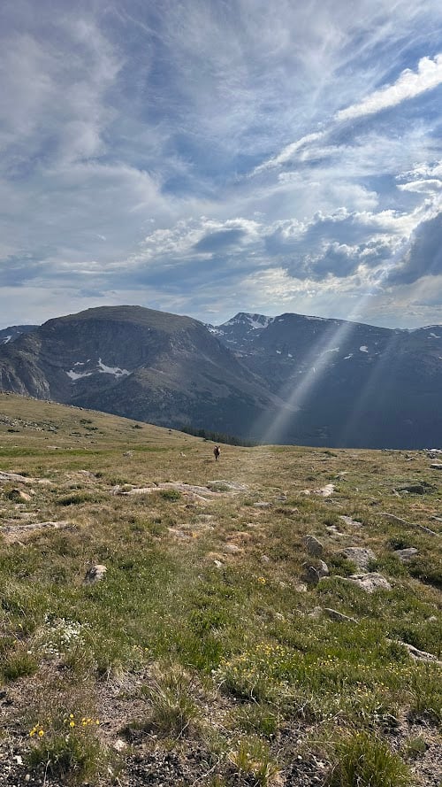 Where the Road Meets the Sky: Driving Trail Ridge Road