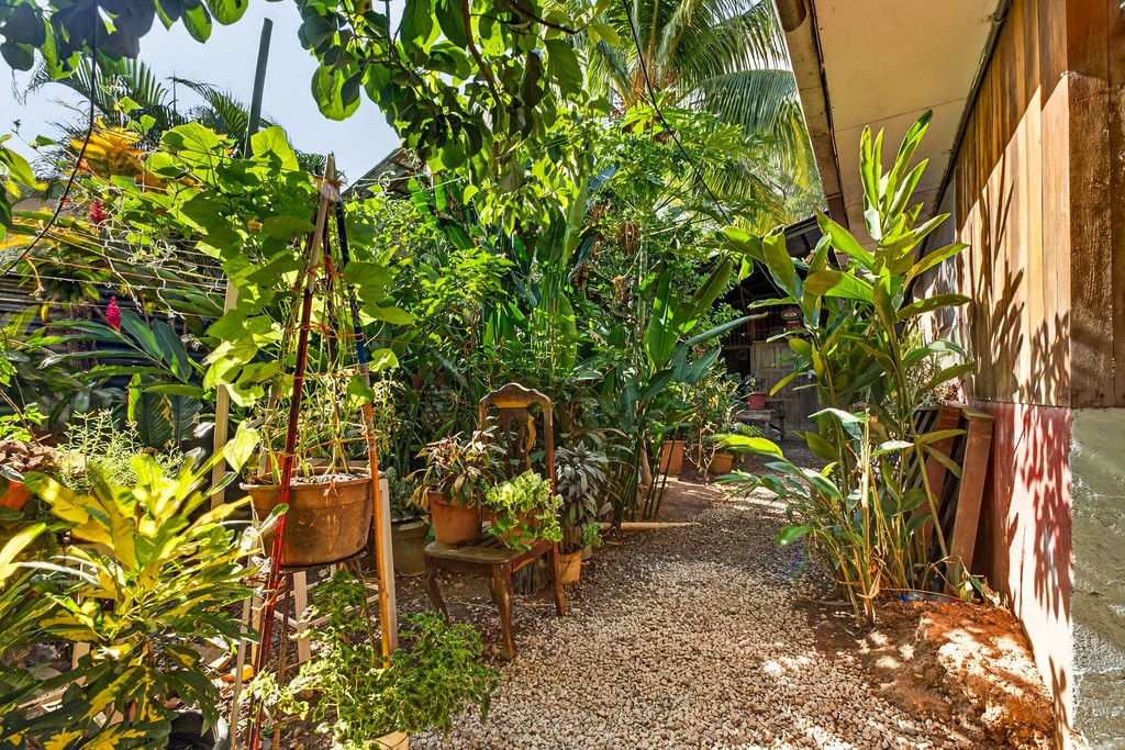 Casa Salinas | Tropical Compound with Multiple Income Opportunities in Playa Grande