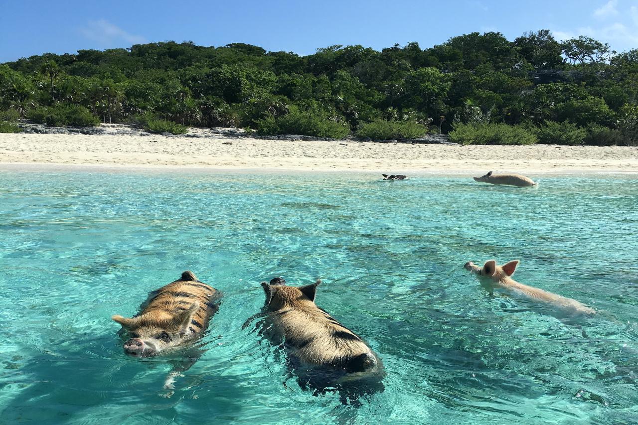 Lot 7, Pipe Cay, Exuma