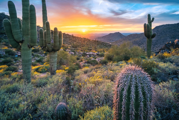 Best Scottsdale and Phoenix Areas Buyers Are Watching in 2026