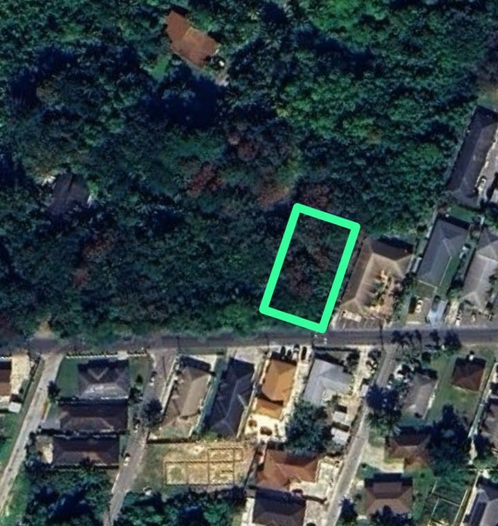Wooded parcel outlined in green beside a road, surrounded by homes.
