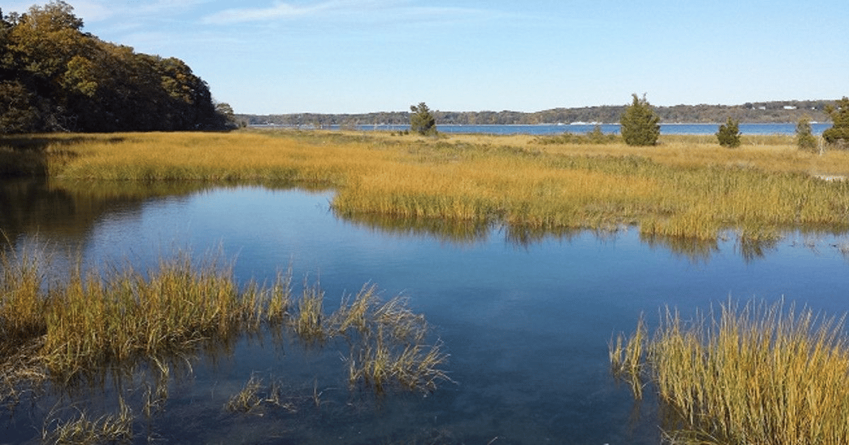 Oyster Bay Cove