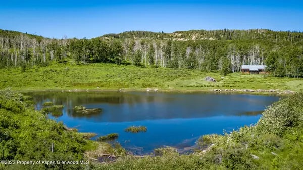 A blue lake bordered by green vegetation and forested hillsides.