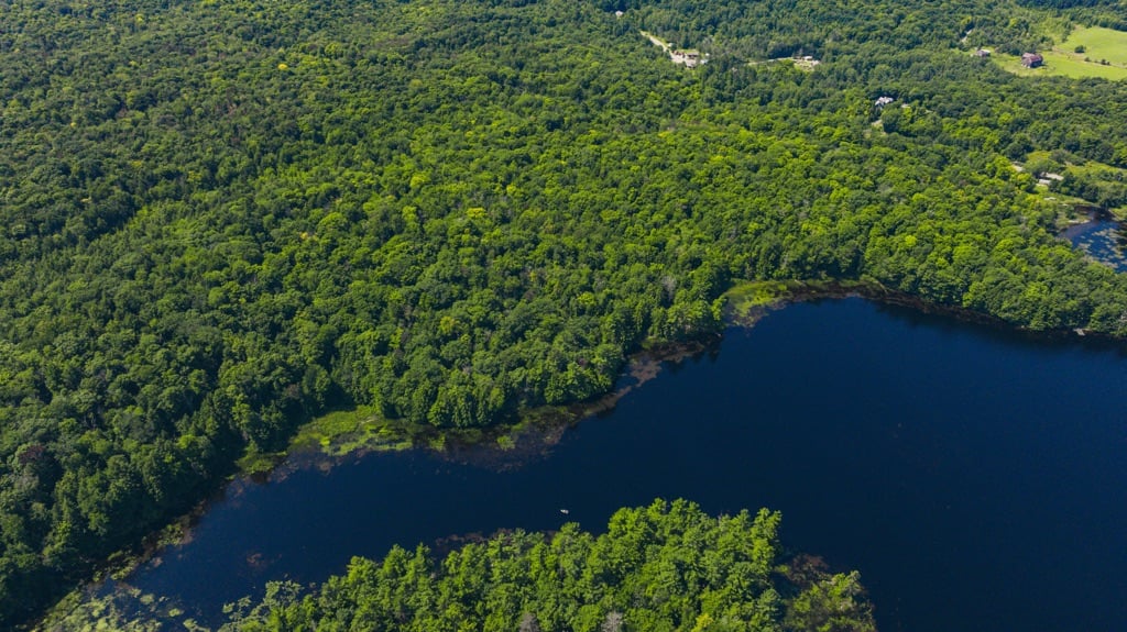 Camel Lake
