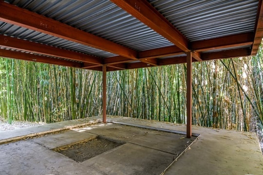 Oasis Tranquil