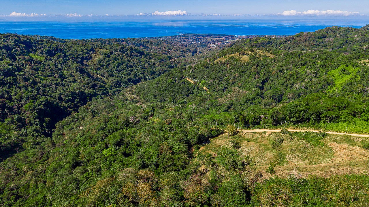 Whale Tail Views Luxury Waterfall Farm
