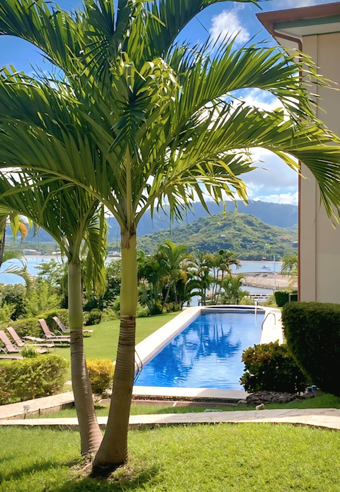 Punta Plata #518 | Beachside Condo with Lap Pool Access in One of Flamingo’s Best Locations!