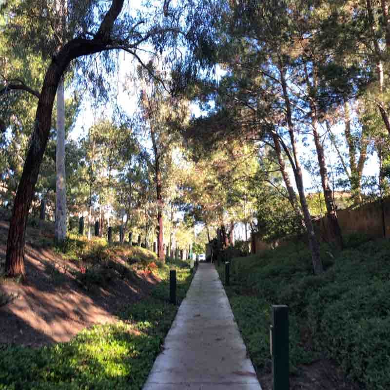 Dove Creek Park