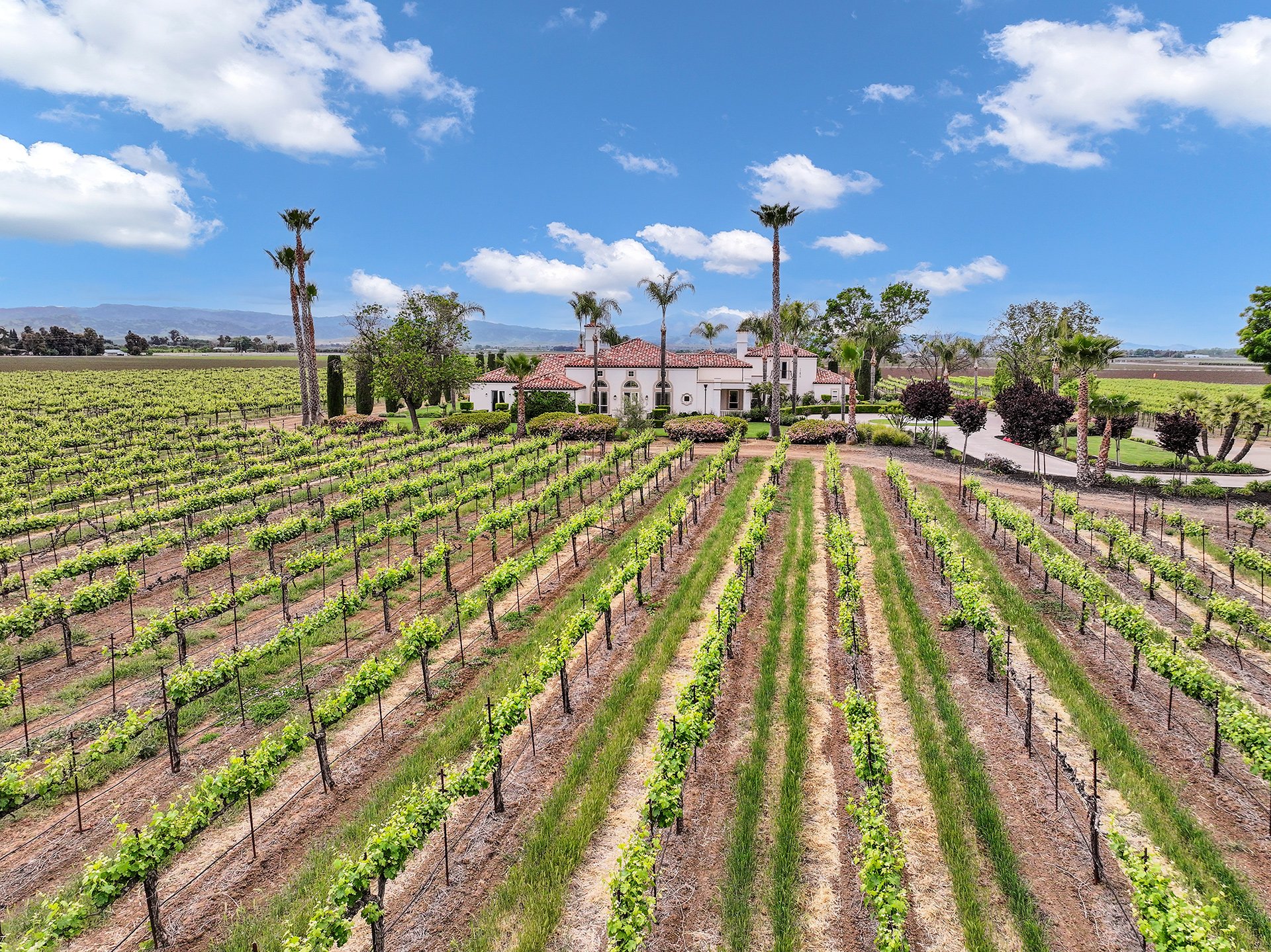 Brentwood Vineyard Estate