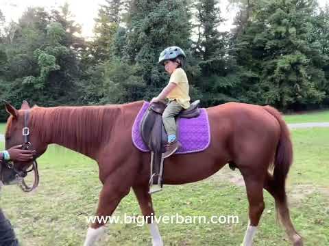 Big River Barn Rescue in Muttontown, NY- Nassau County
