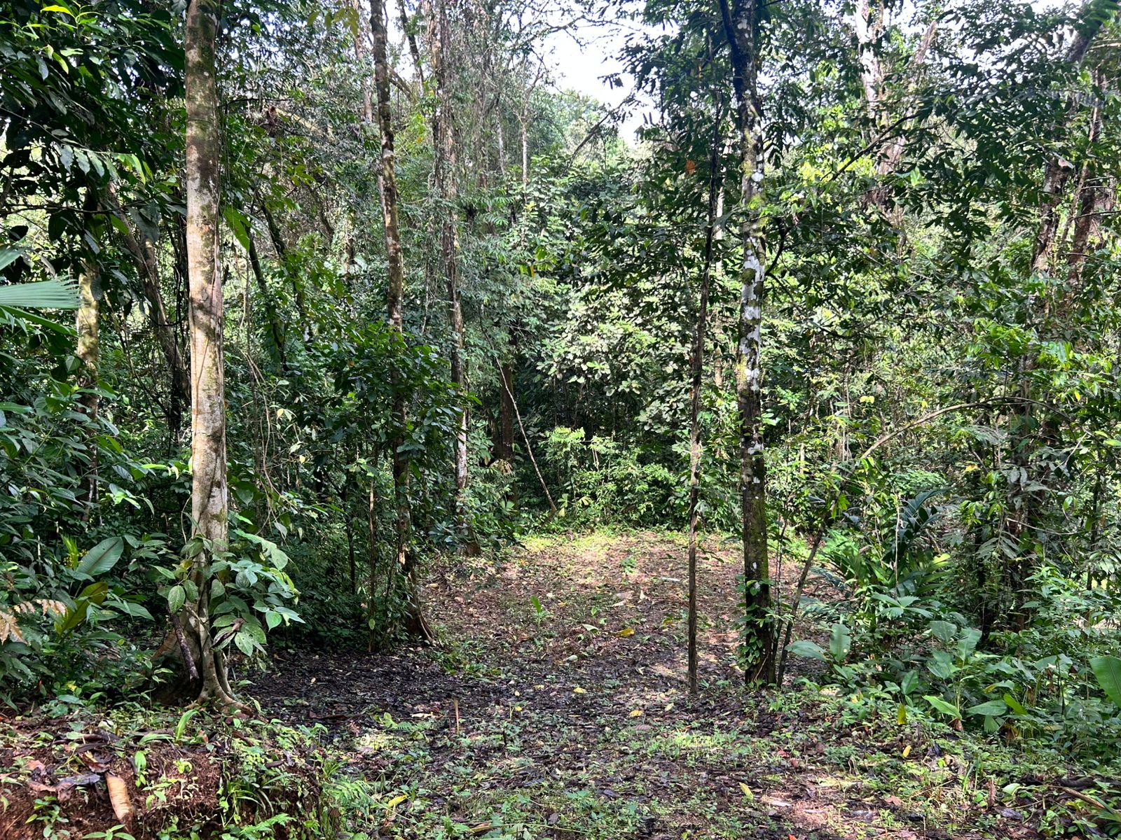 1.4-acre gated lot in Uvita.