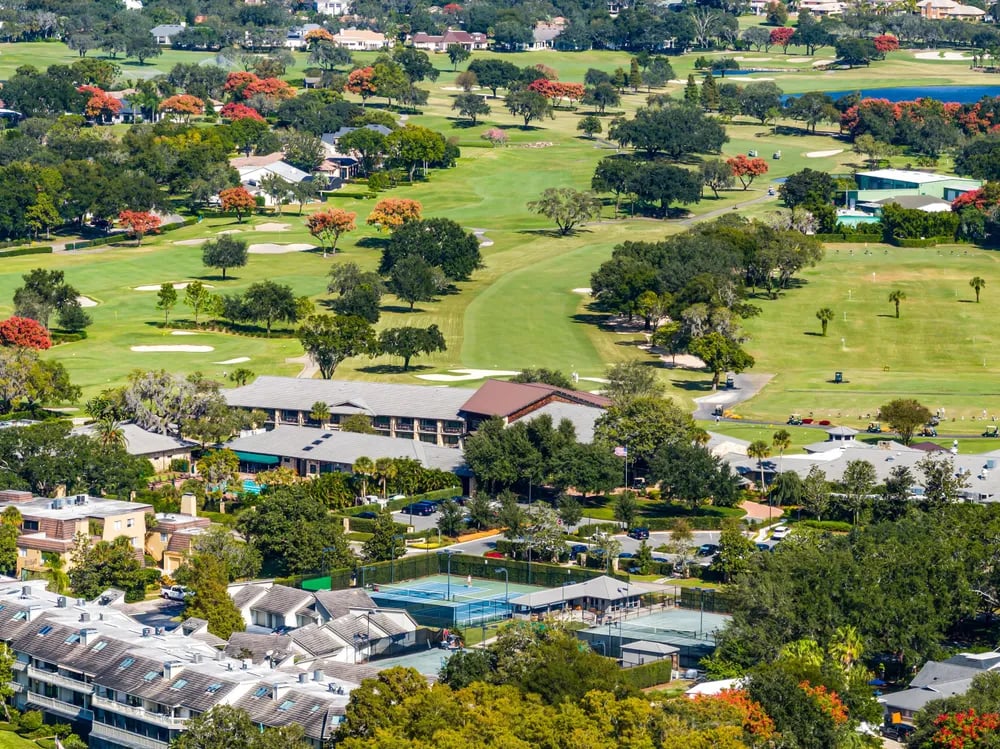 Dr Phillips / Bay Hill