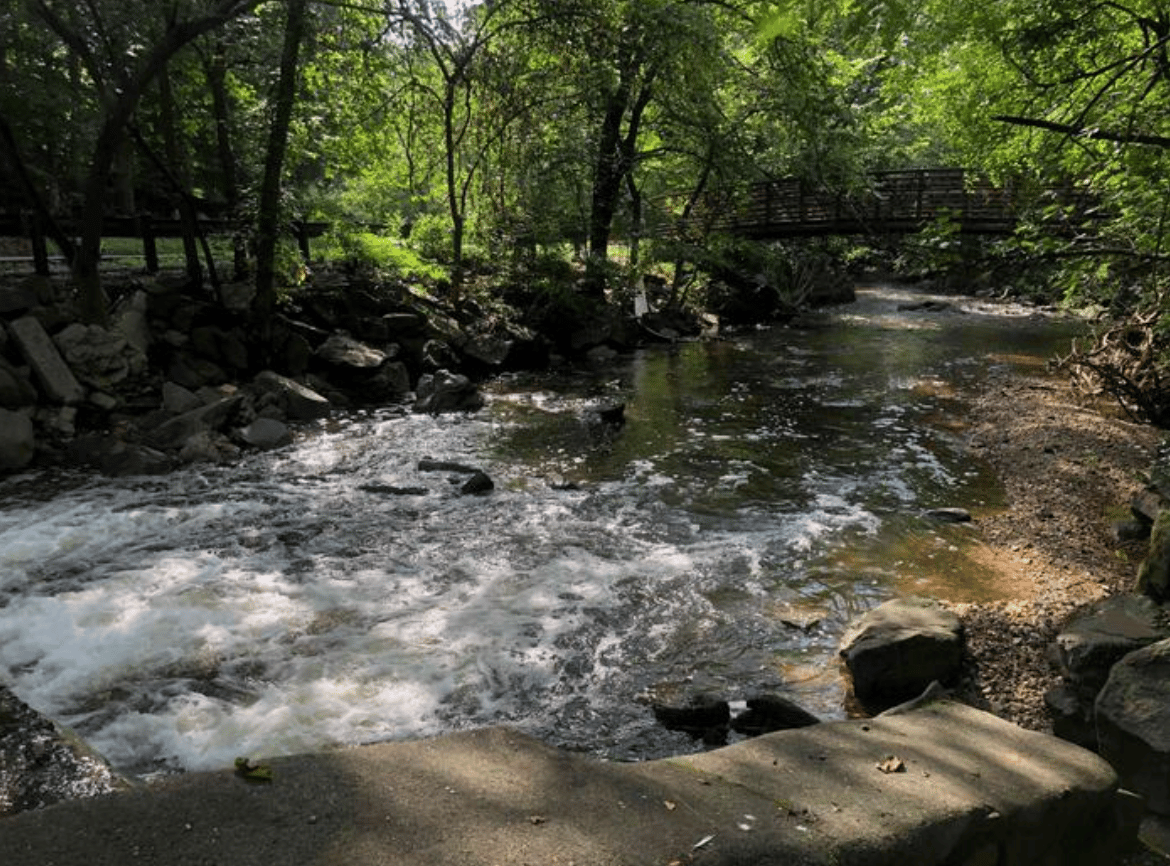 Friends of Sligo Creek Donation