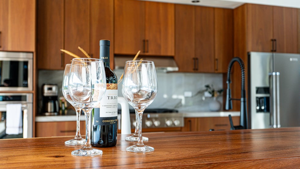 3 Bedroom Luxury Modern Tropical Home in Dominical