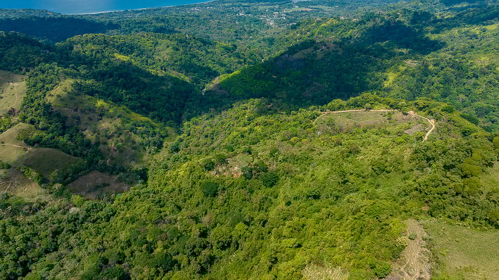 Whale Tail Views Luxury Waterfall Farm