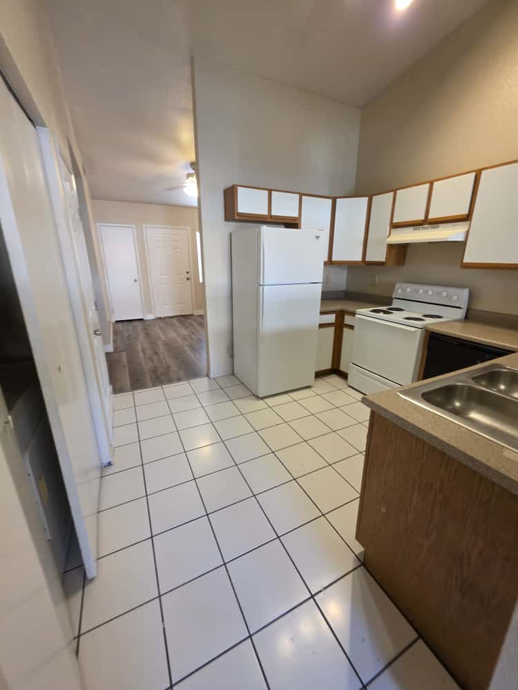 3849 Soda Springs Drive - 1