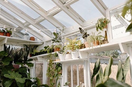 Is an Attached Greenhouse Right for You?
