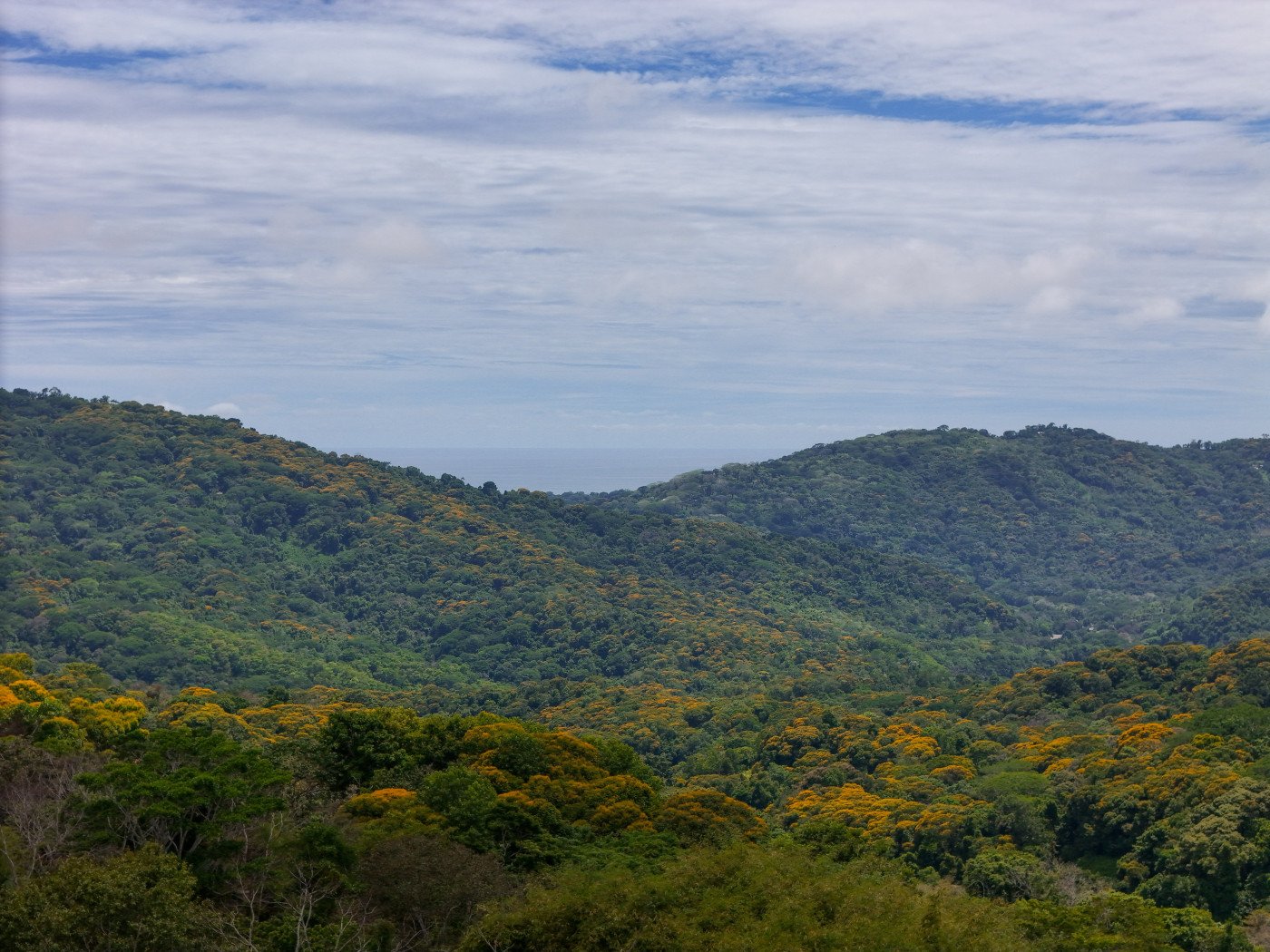 TROPICAL RETREAT IN PLATANILLO – OCEAN VIEW HOME PLUS APARTMENT IN ESTABLISHED COMMUNITY – 0.88 ACRES